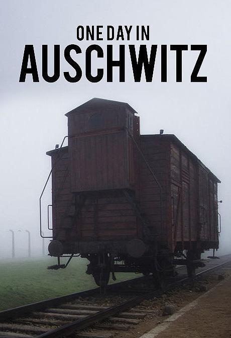 Постер фильма Один день в Освенциме | One Day in Auschwitz