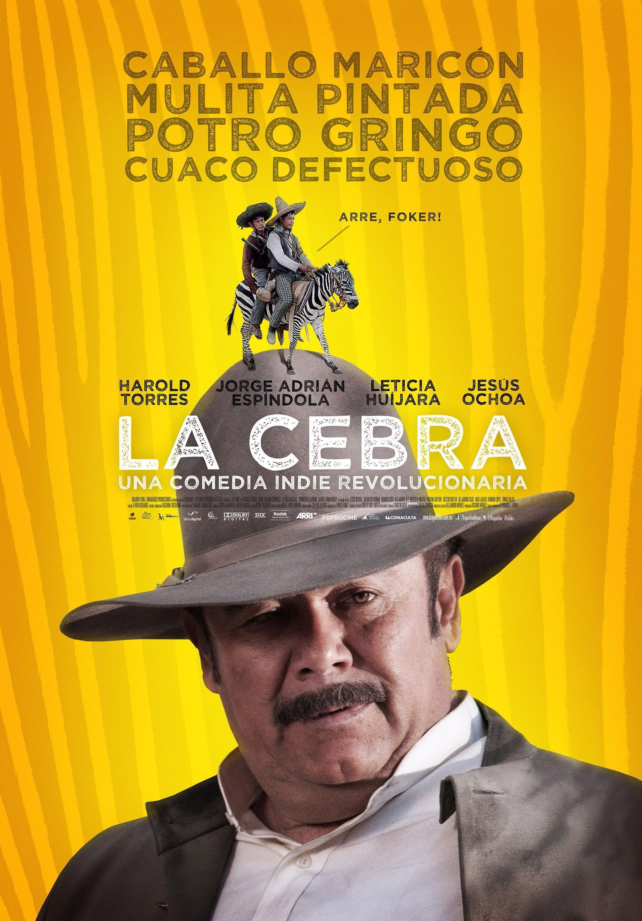Постер фильма La cebra