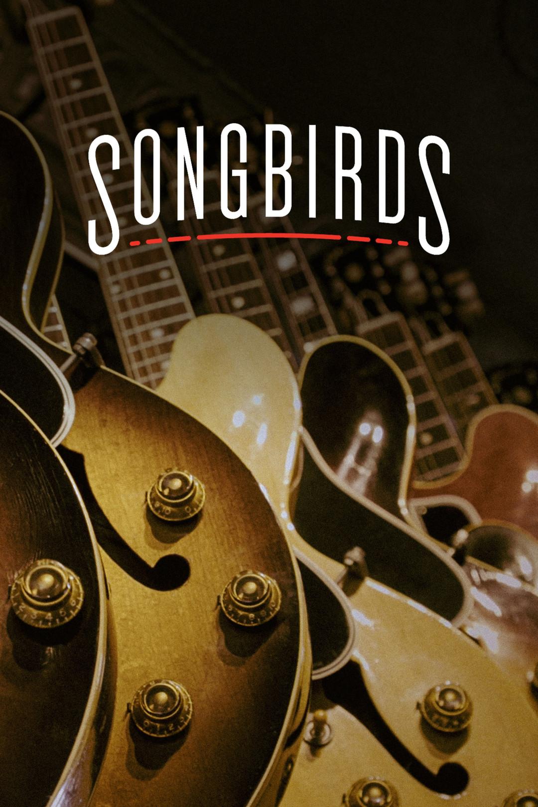 Постер фильма Сонгбёрдс | Songbirds