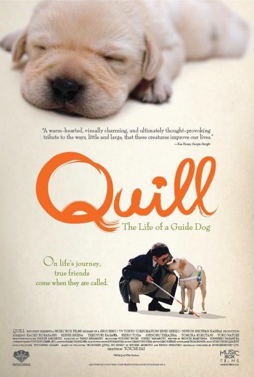 Постер фильма Куилл | Quill
