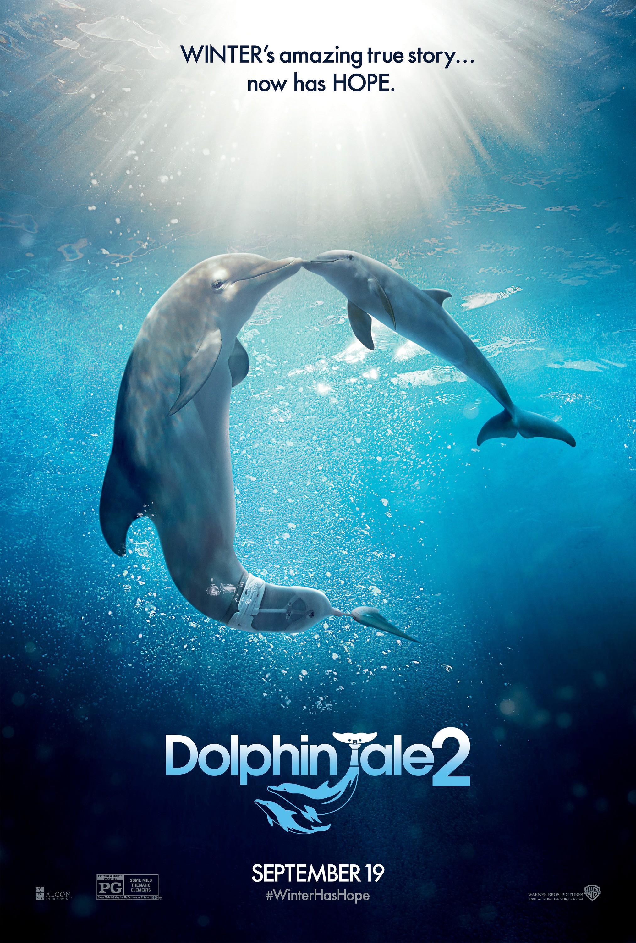 Постер фильма История дельфина 2 | Dolphin Tale 2