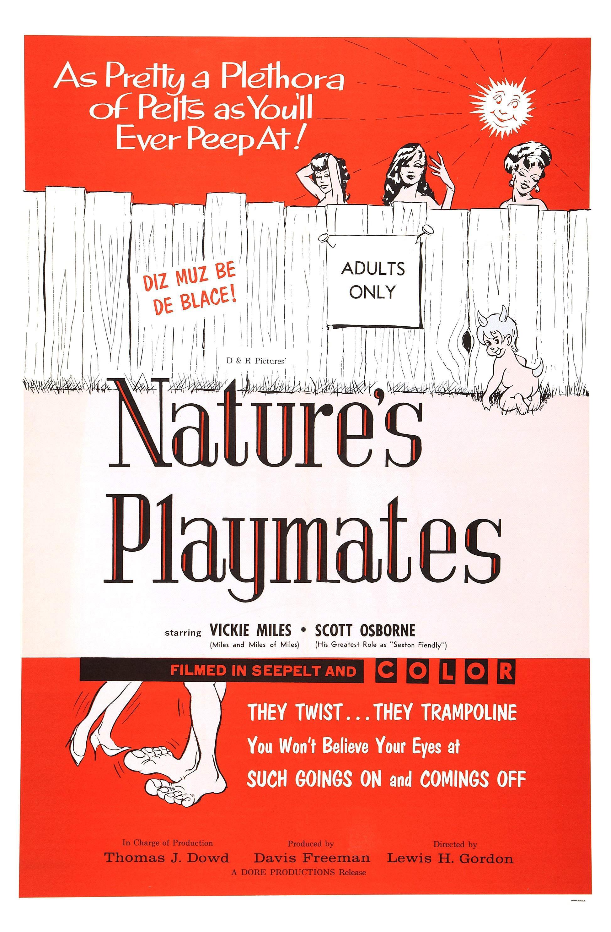 Постер фильма Nature's Playmates