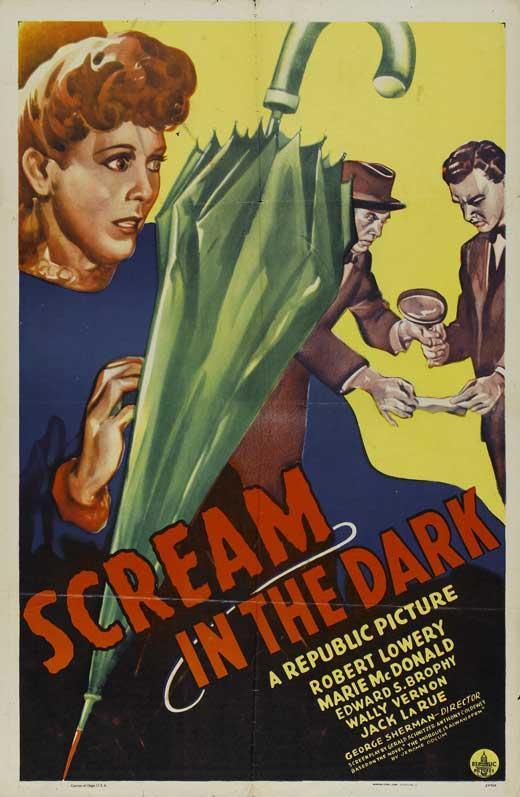 Постер фильма Scream in the Dark