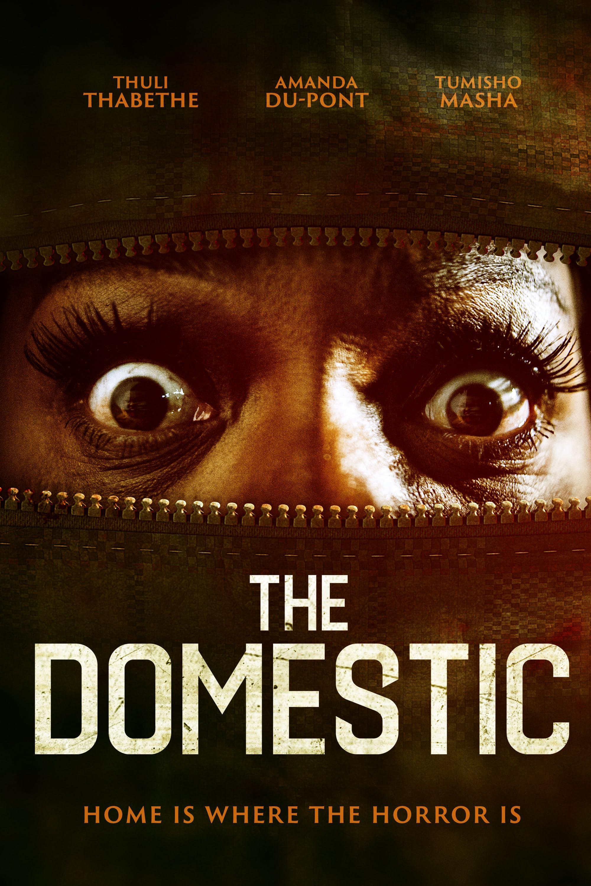 Постер фильма The Domestic