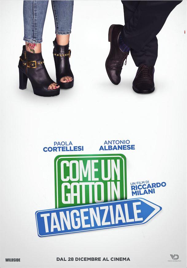 Постер фильма Добро пожаловать в Рим | Come un gatto in Tangenziale 
