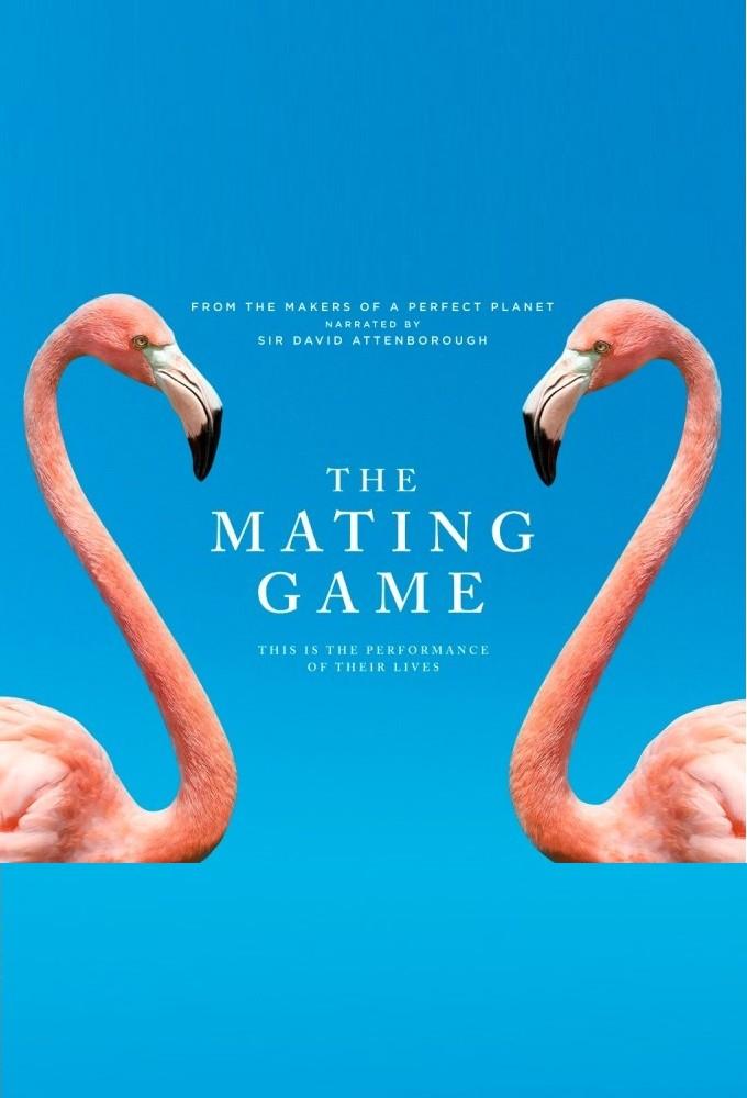 Постер фильма Брачная Игра | The Mating Game