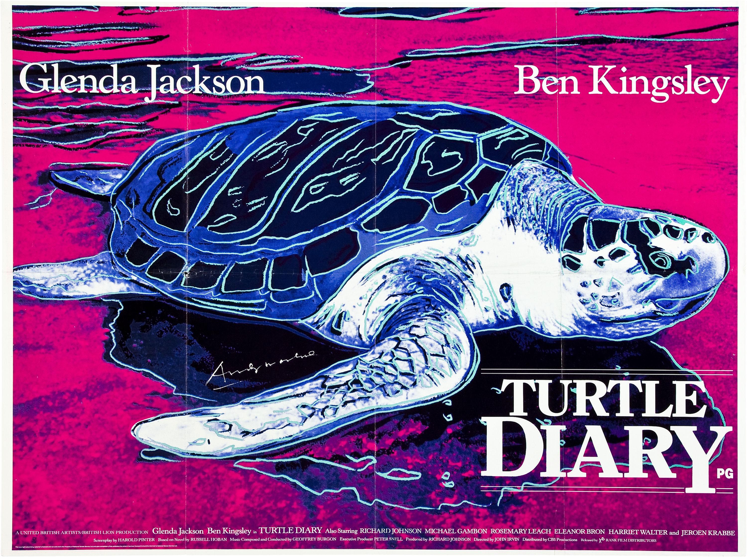 Постер фильма Дневник Черепахи | Turtle Diary
