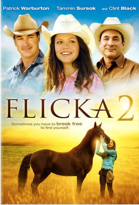 Постер фильма Флика 2 | Flicka 2