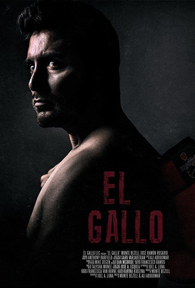 Постер фильма El Gallo 