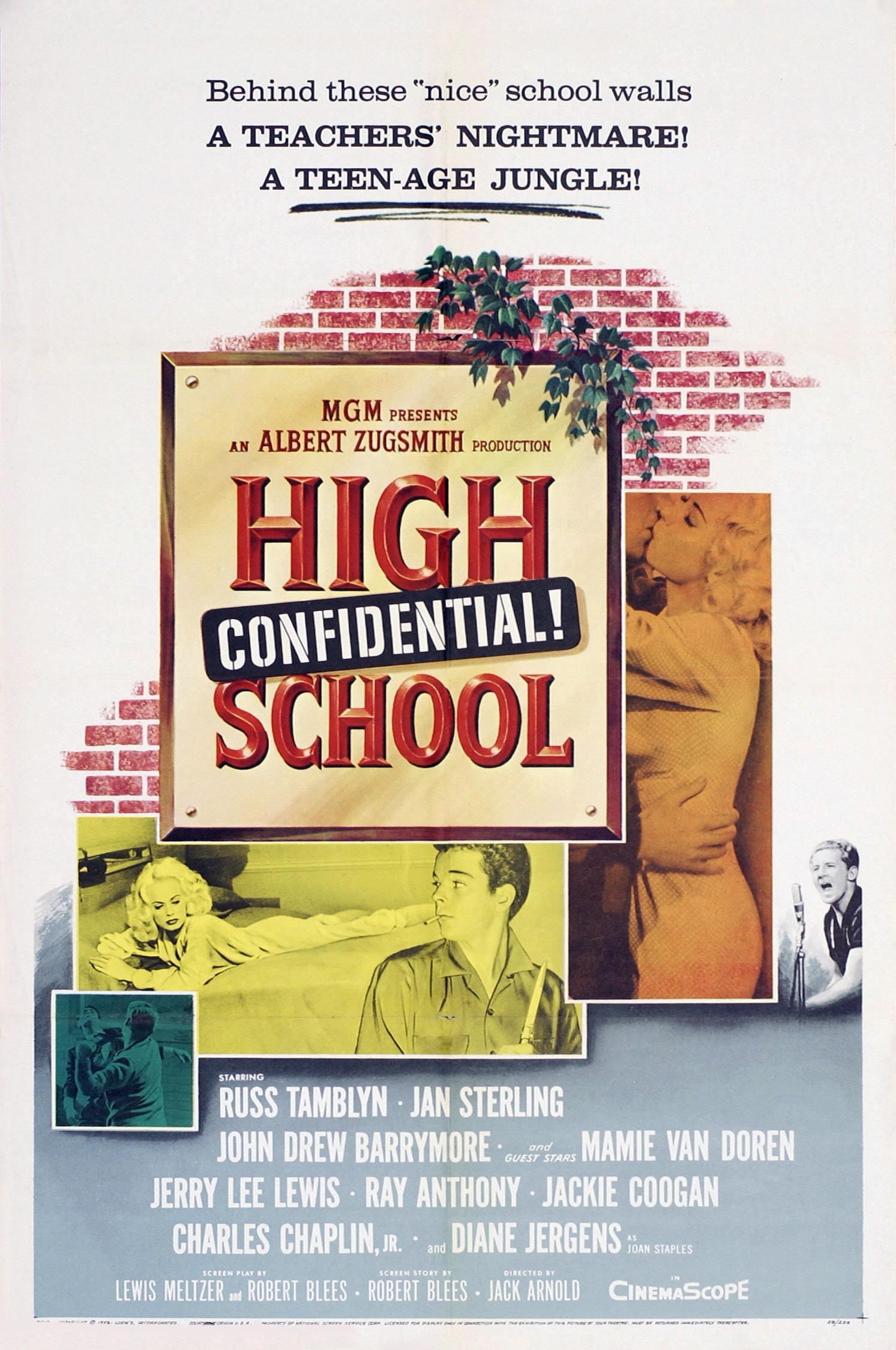 Постер фильма High School Confidential!