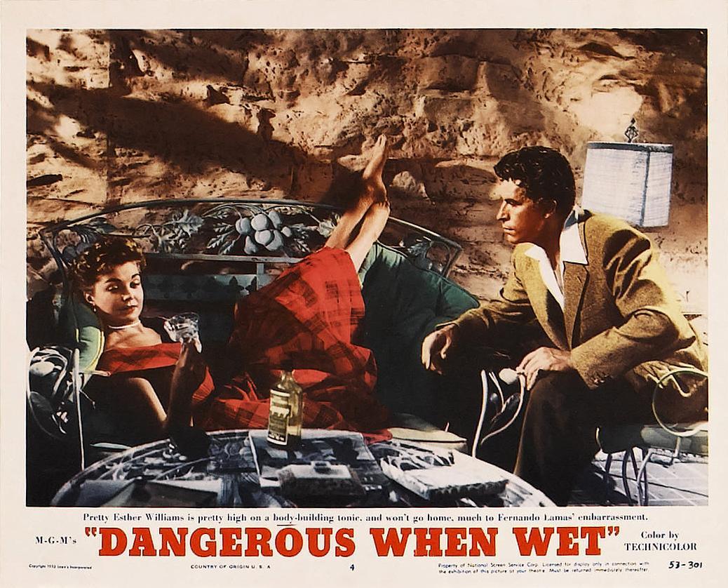 Постер фильма Dangerous When Wet