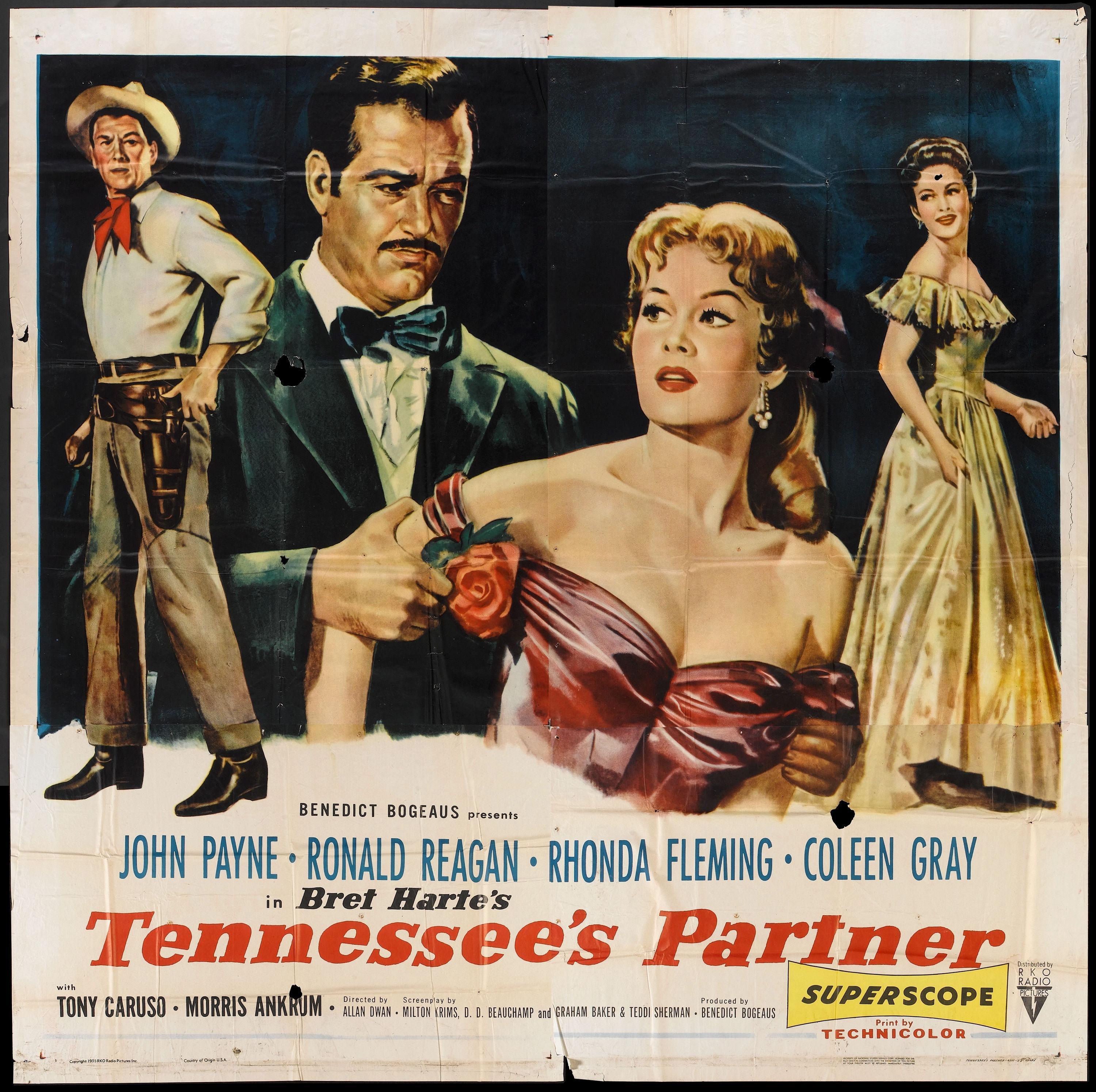 Постер фильма Компаньон Теннесси | Tennessee's Partner