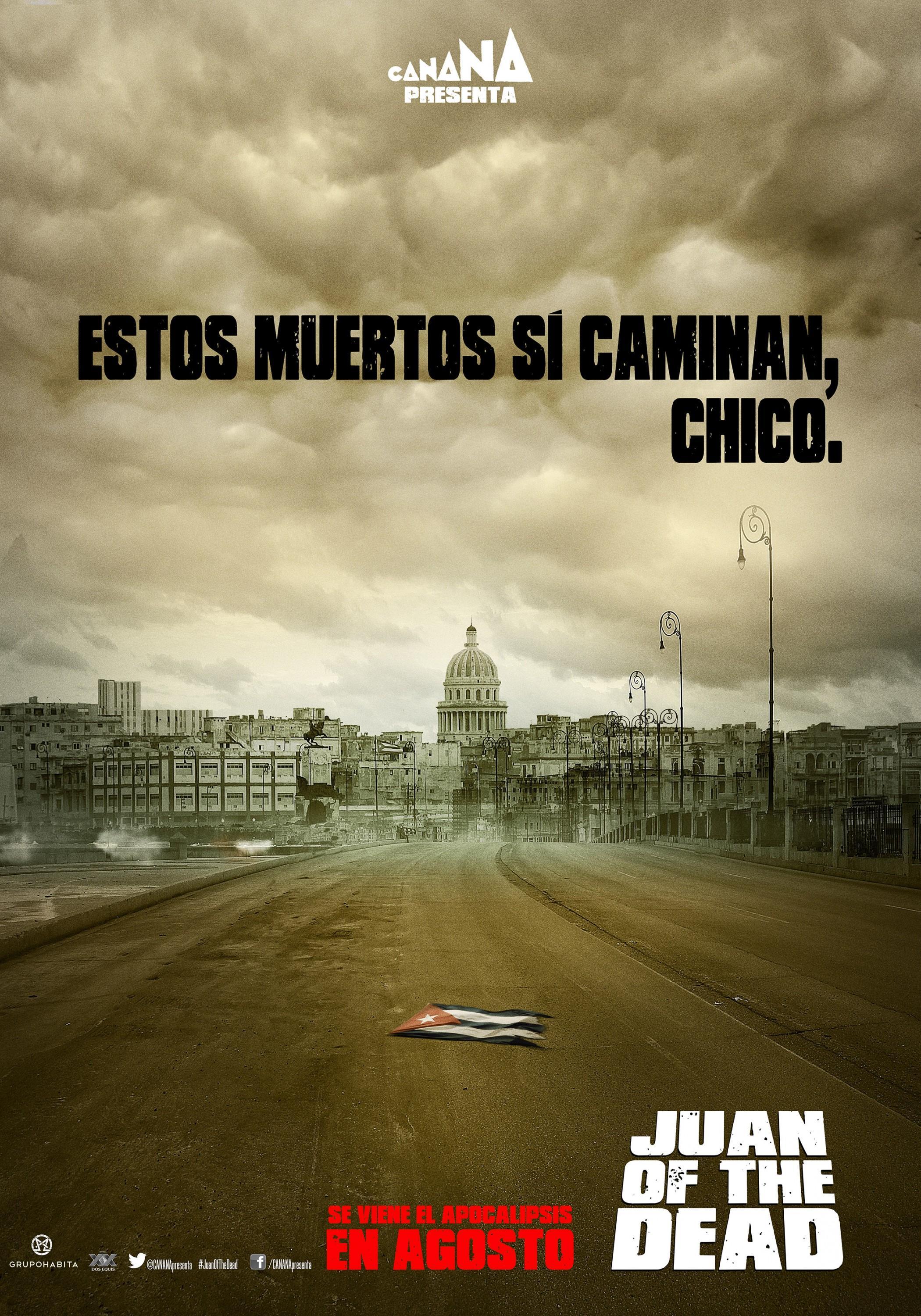 Постер фильма Истребитель зомби | Juan de los Muertos