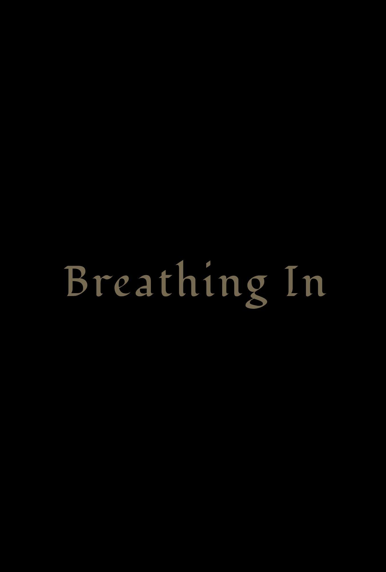 Постер фильма Вдыхая | Breathing In