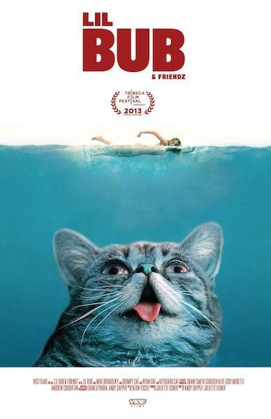 Постер фильма Lil Bub & Friendz