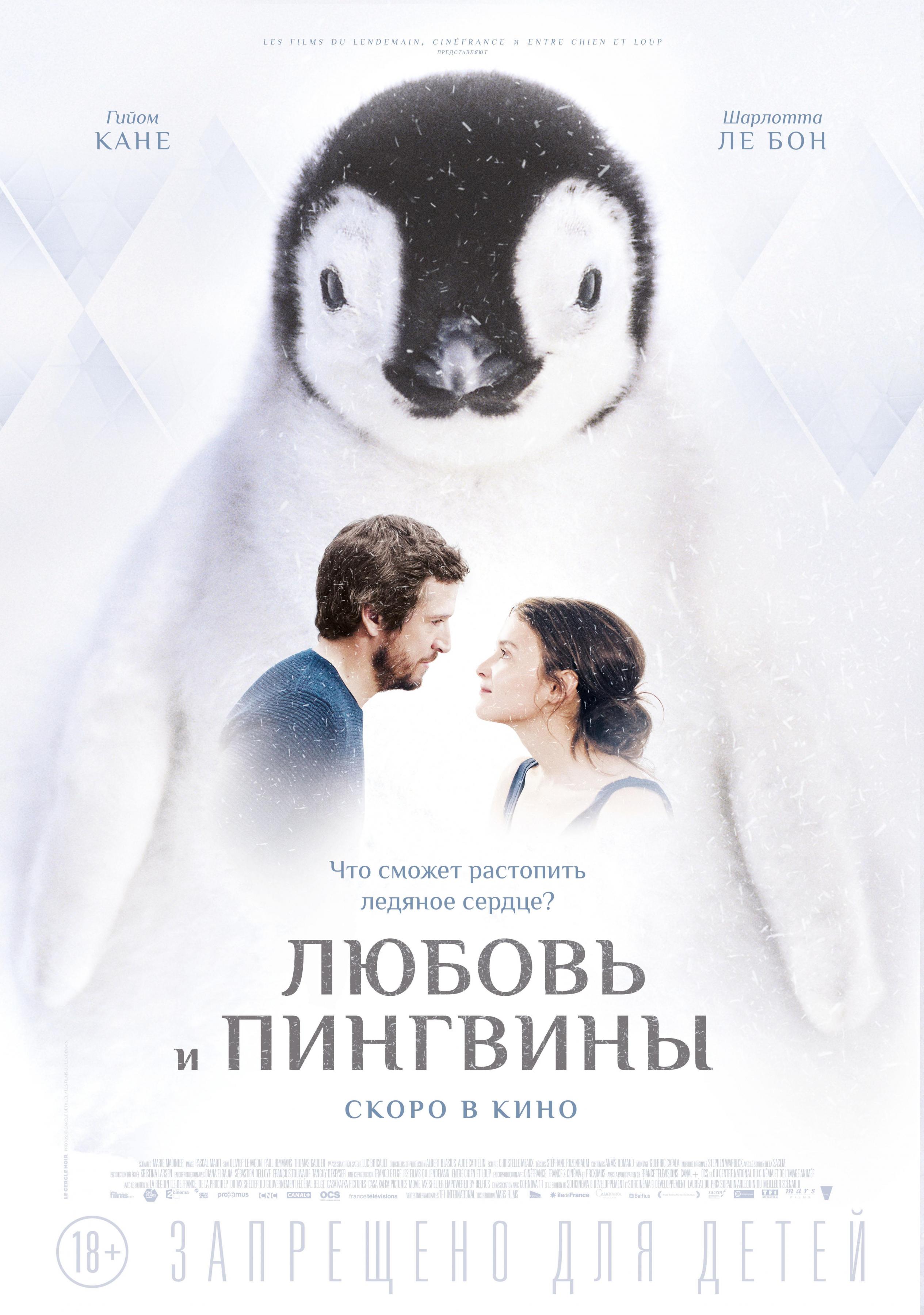 Постер фильма Любовь и пингвины | Secret des banquises