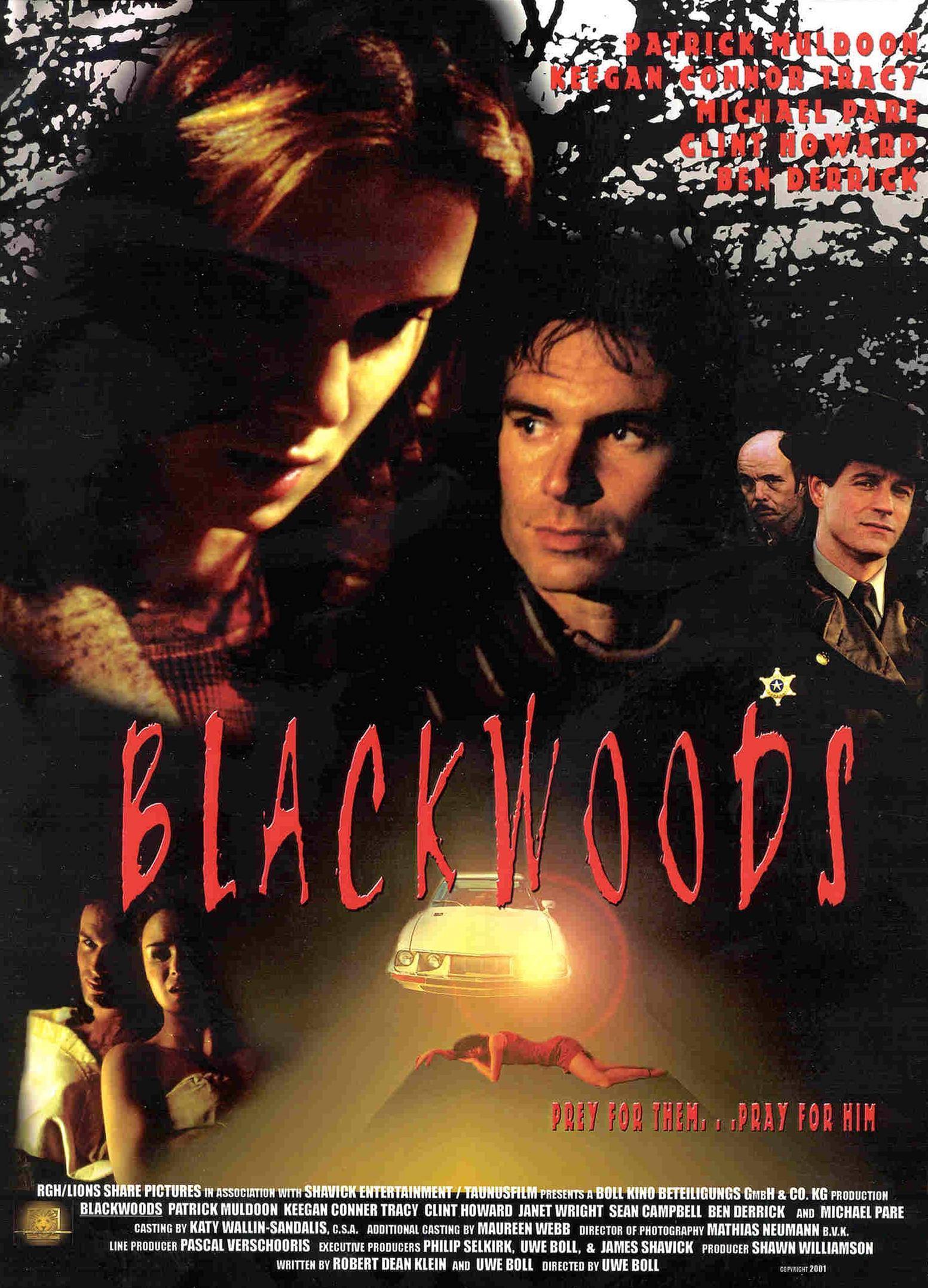 Постер фильма Сумрак разума | Blackwoods