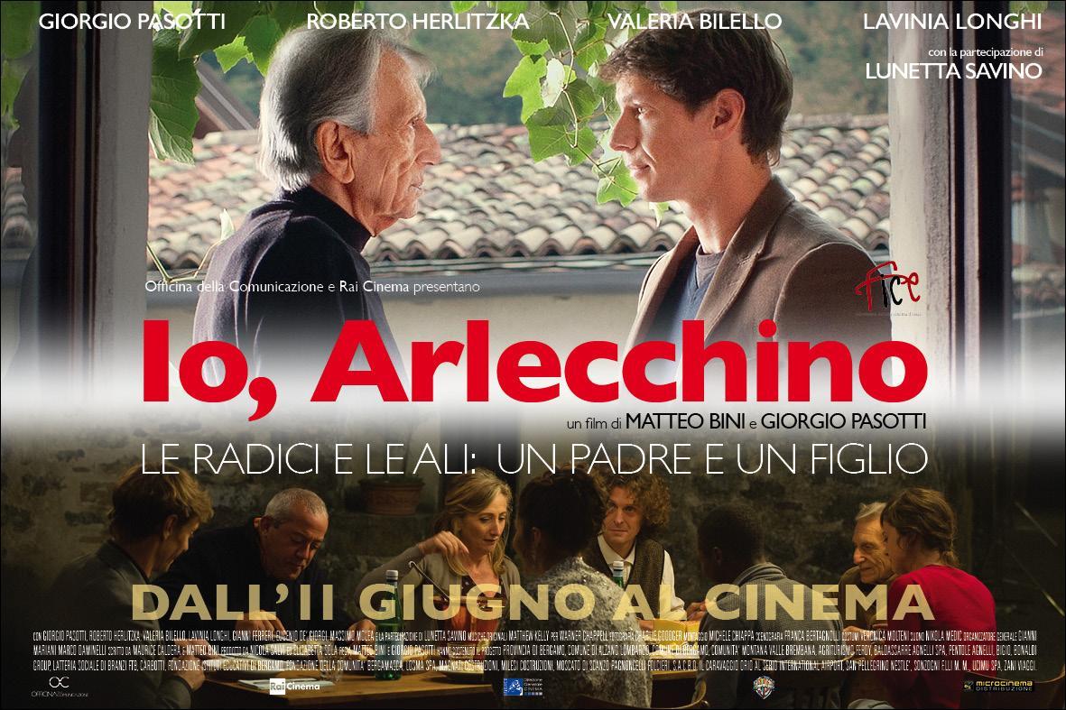 Постер фильма Я, Арлекин | Io, Arlecchino