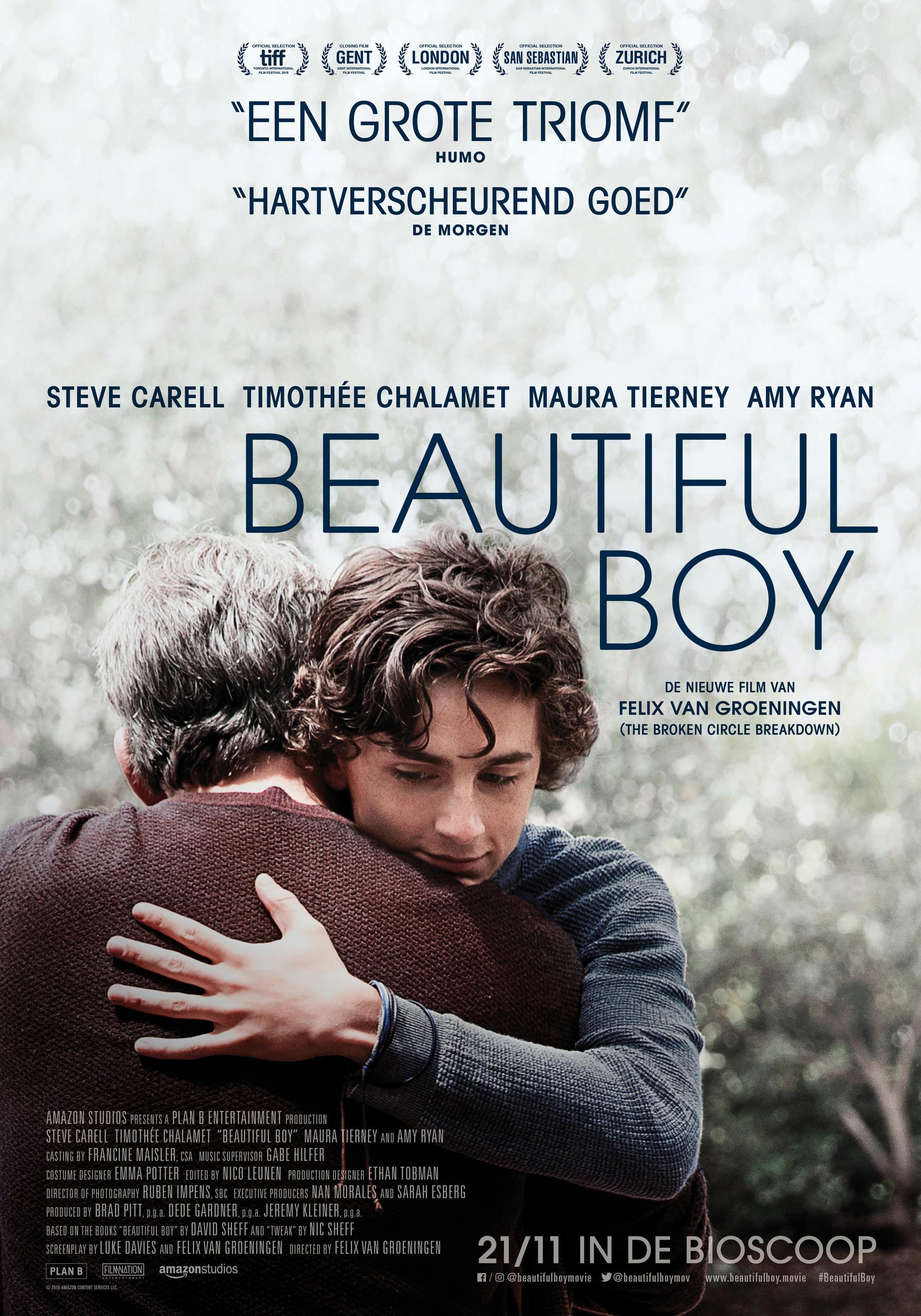 Постер фильма Красивый мальчик | Beautiful Boy 