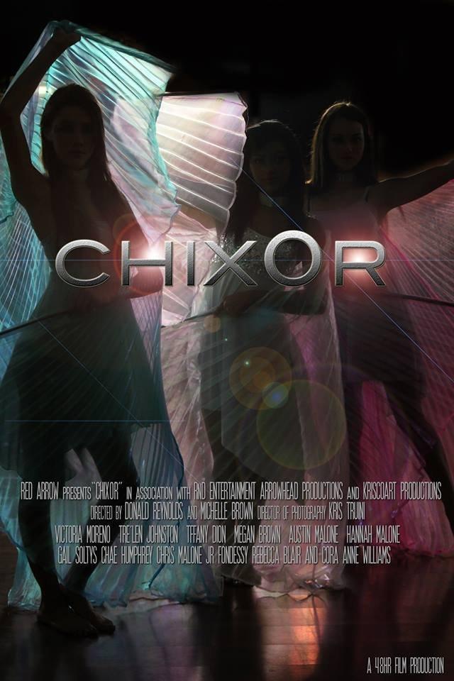 Постер фильма Chix0r