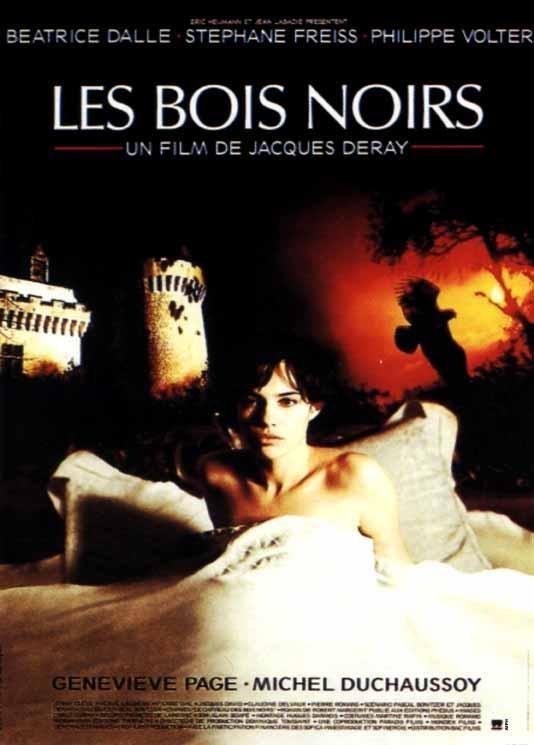 Постер фильма Черный лес | Les bois noirs