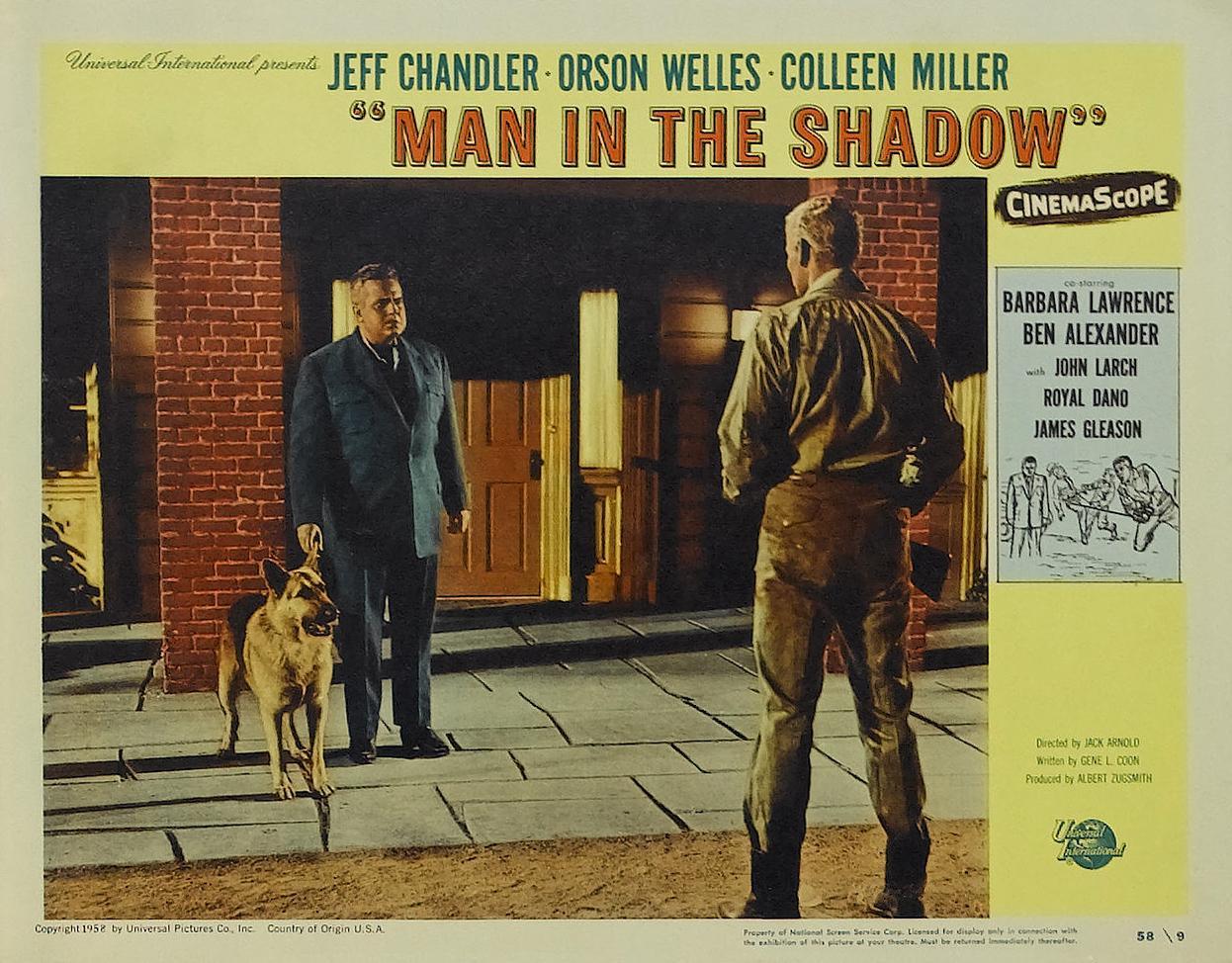 Постер фильма Man in the Shadow