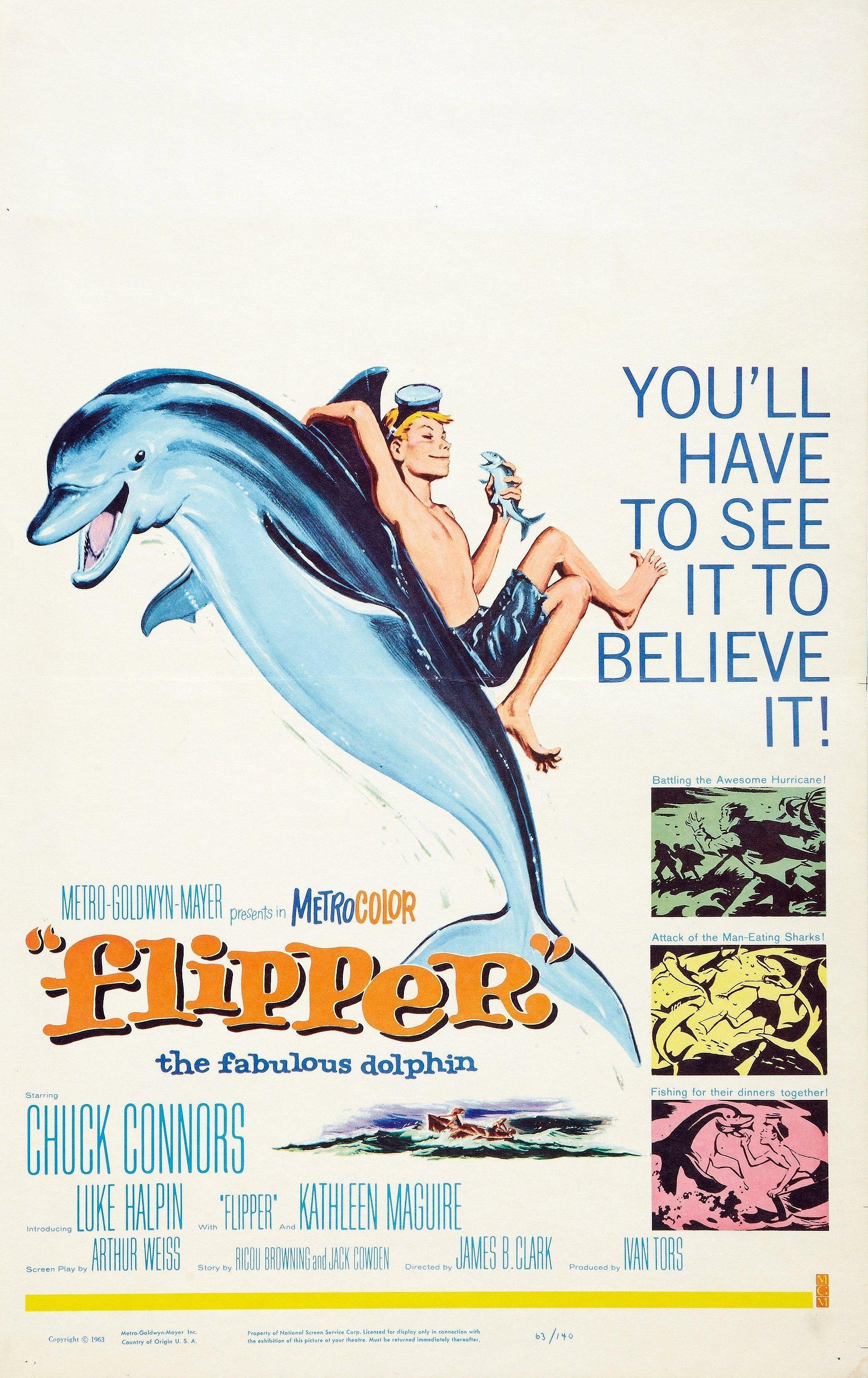 Постер фильма Flipper