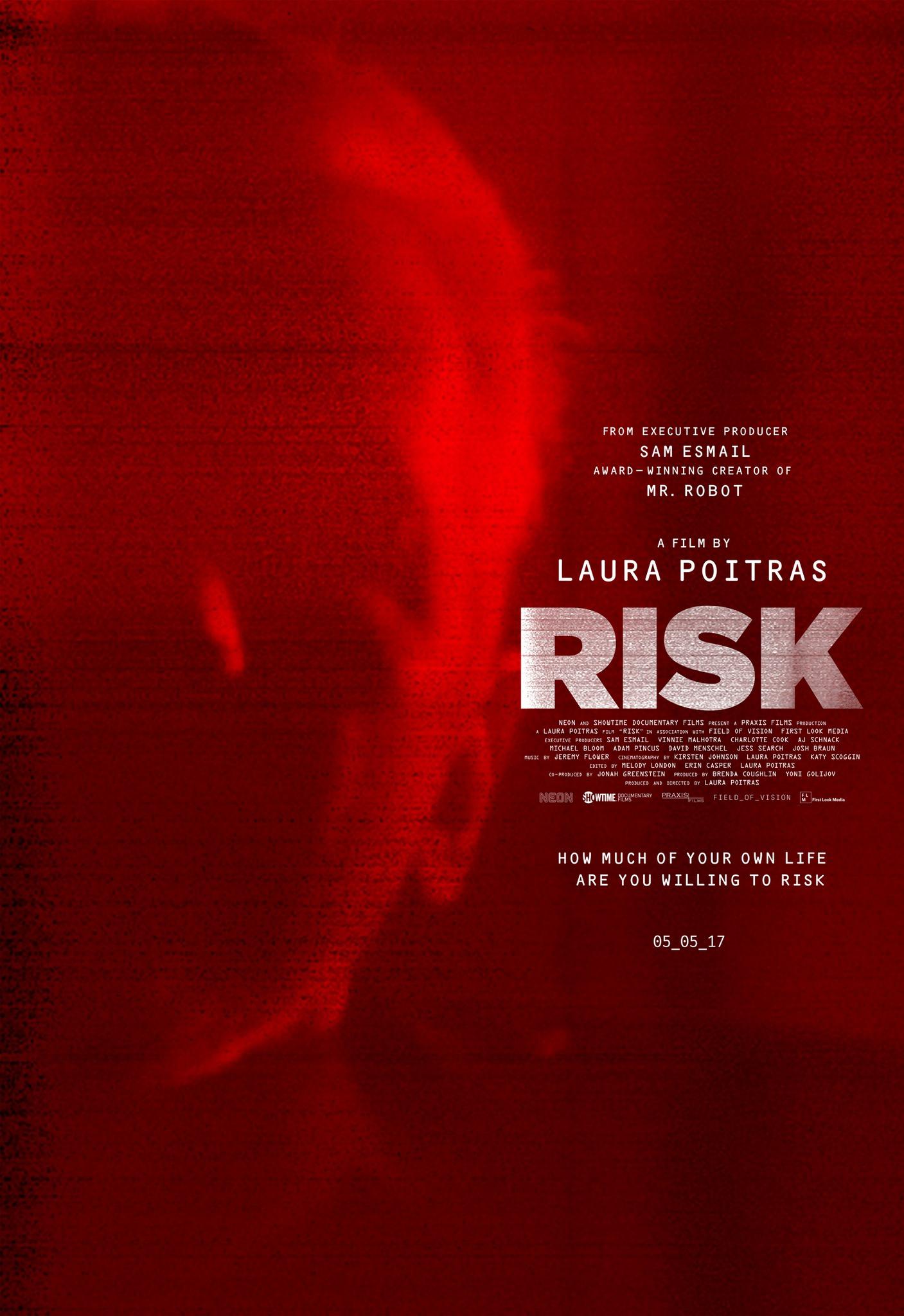 Постер фильма Риск | Risk