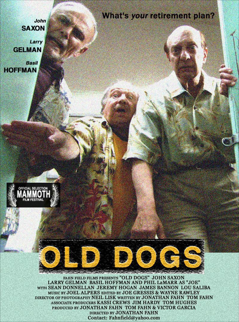Постер фильма Old Dogs
