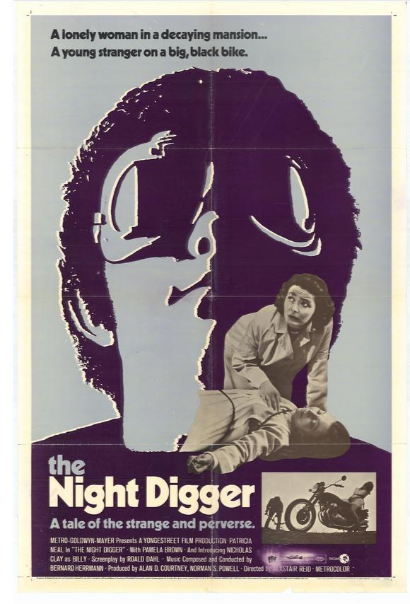 Постер фильма Night Digger