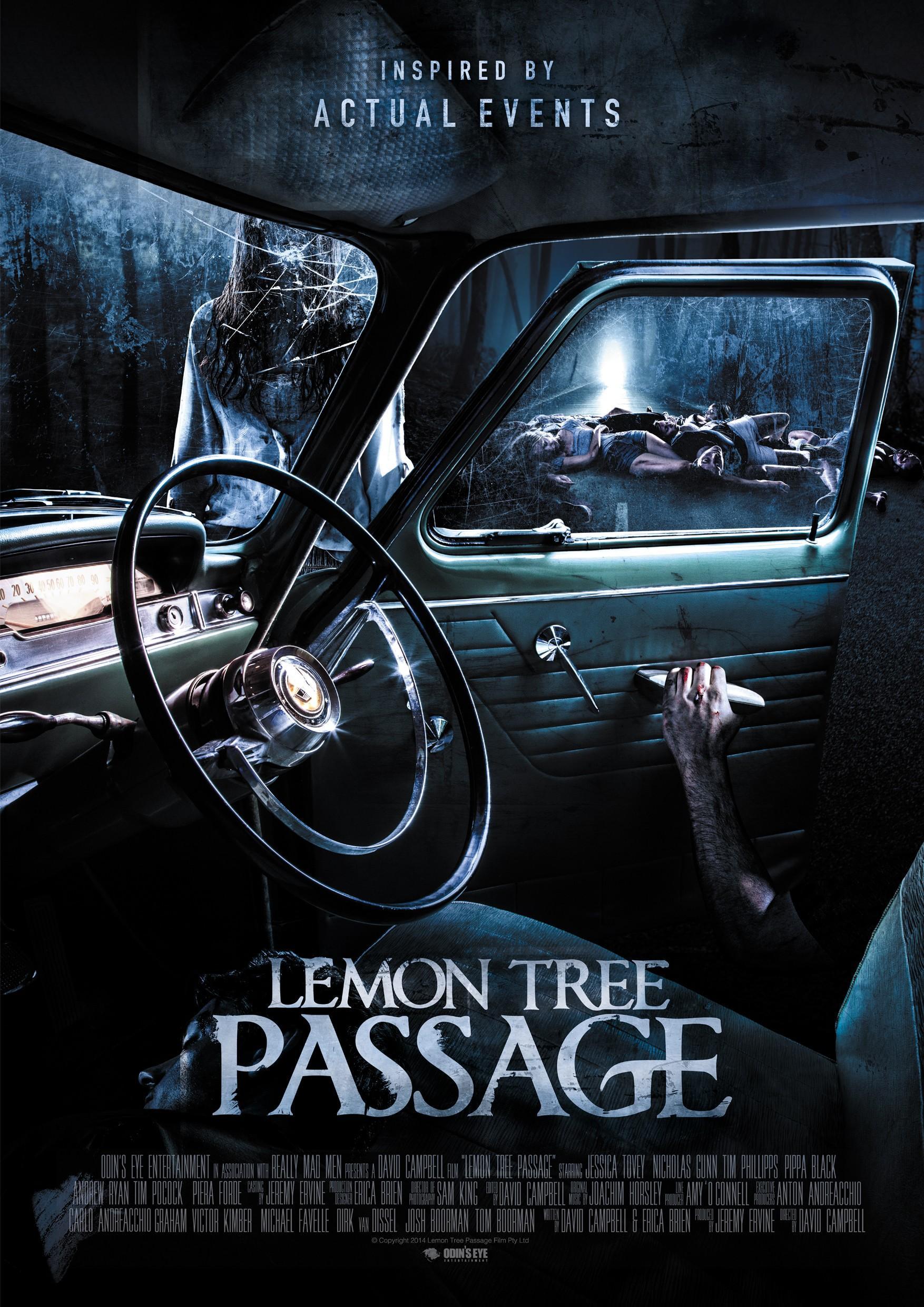 Постер фильма Последний поворот | Lemon Tree Passage