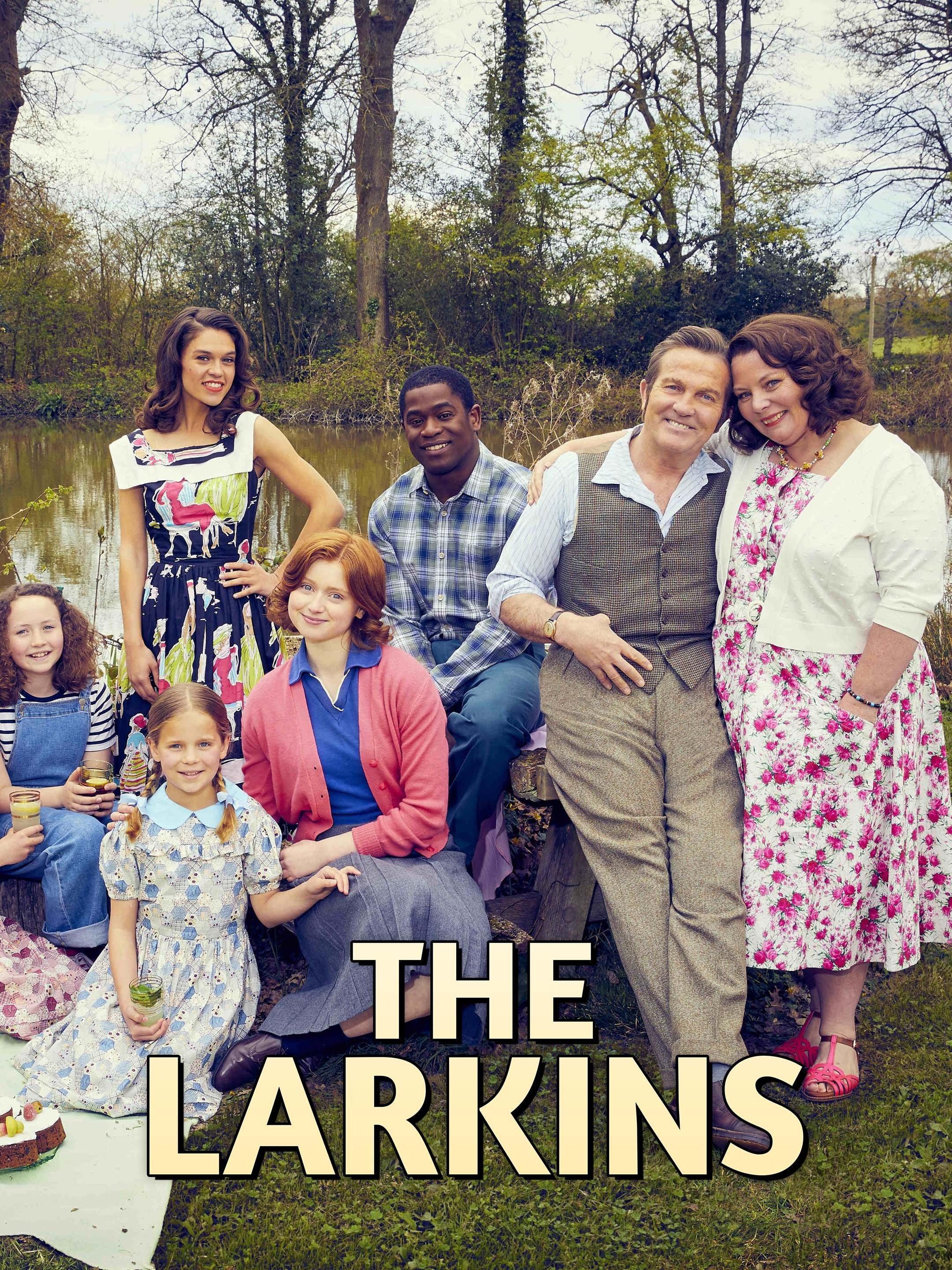 Постер фильма Ларкины | The Larkins