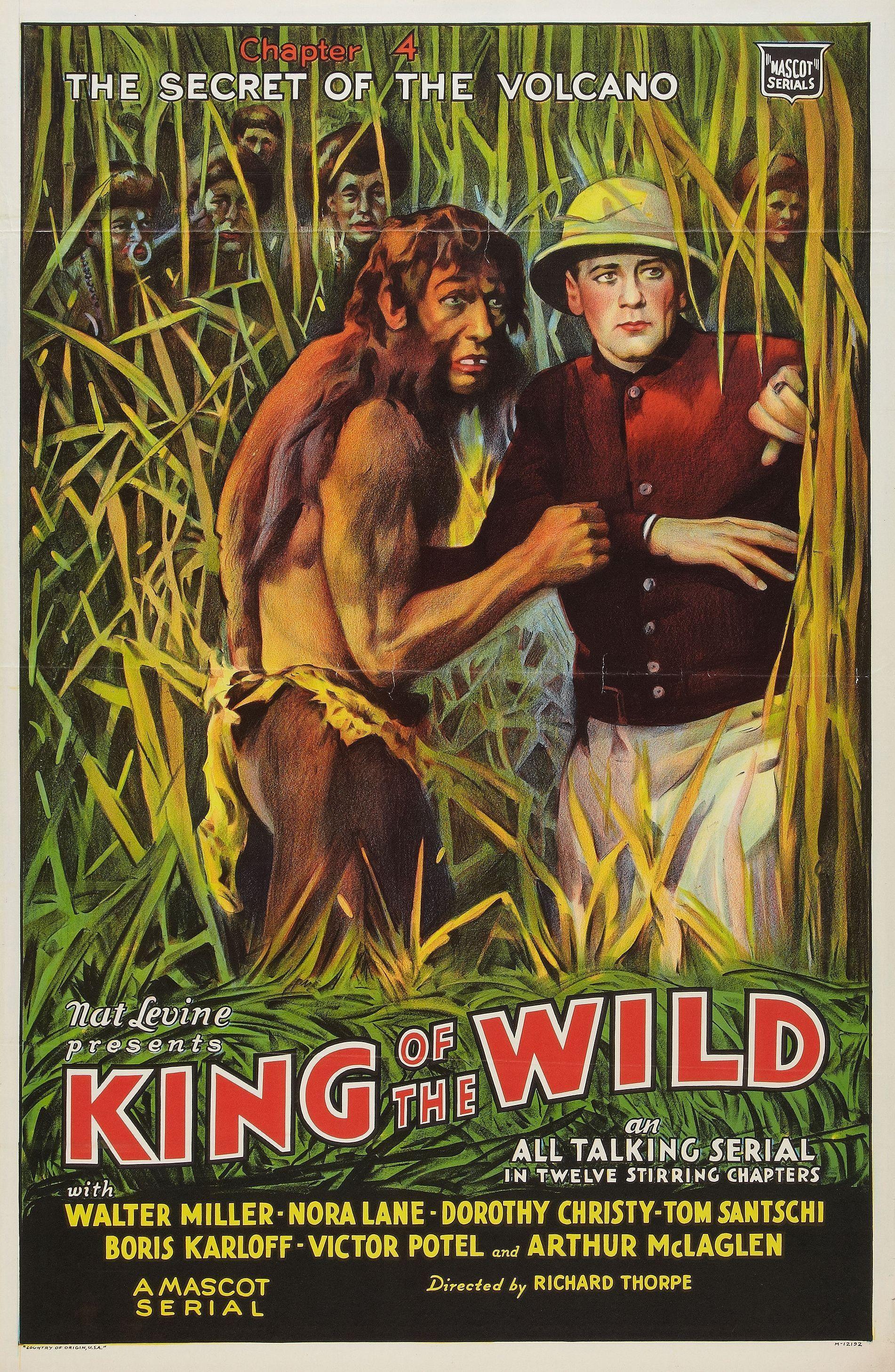 Постер фильма Король диких | King of the Wild