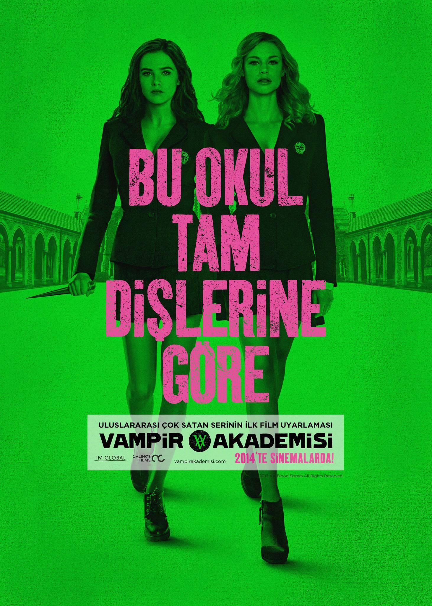 Постер фильма Академия вампиров | Vampire Academy