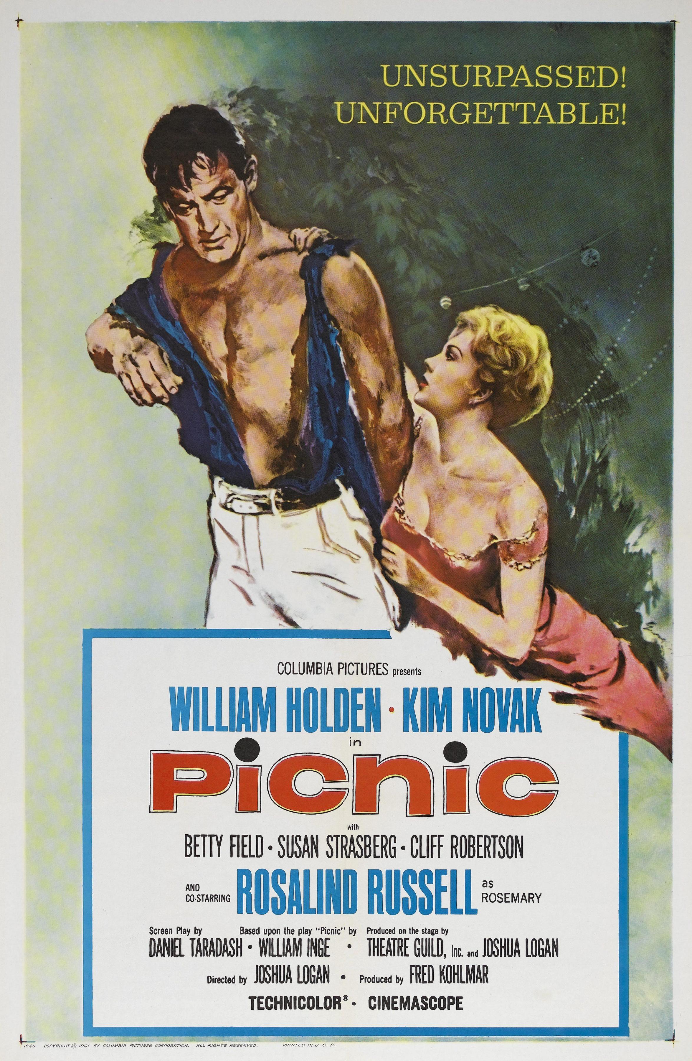 Постер фильма Пикник | Picnic