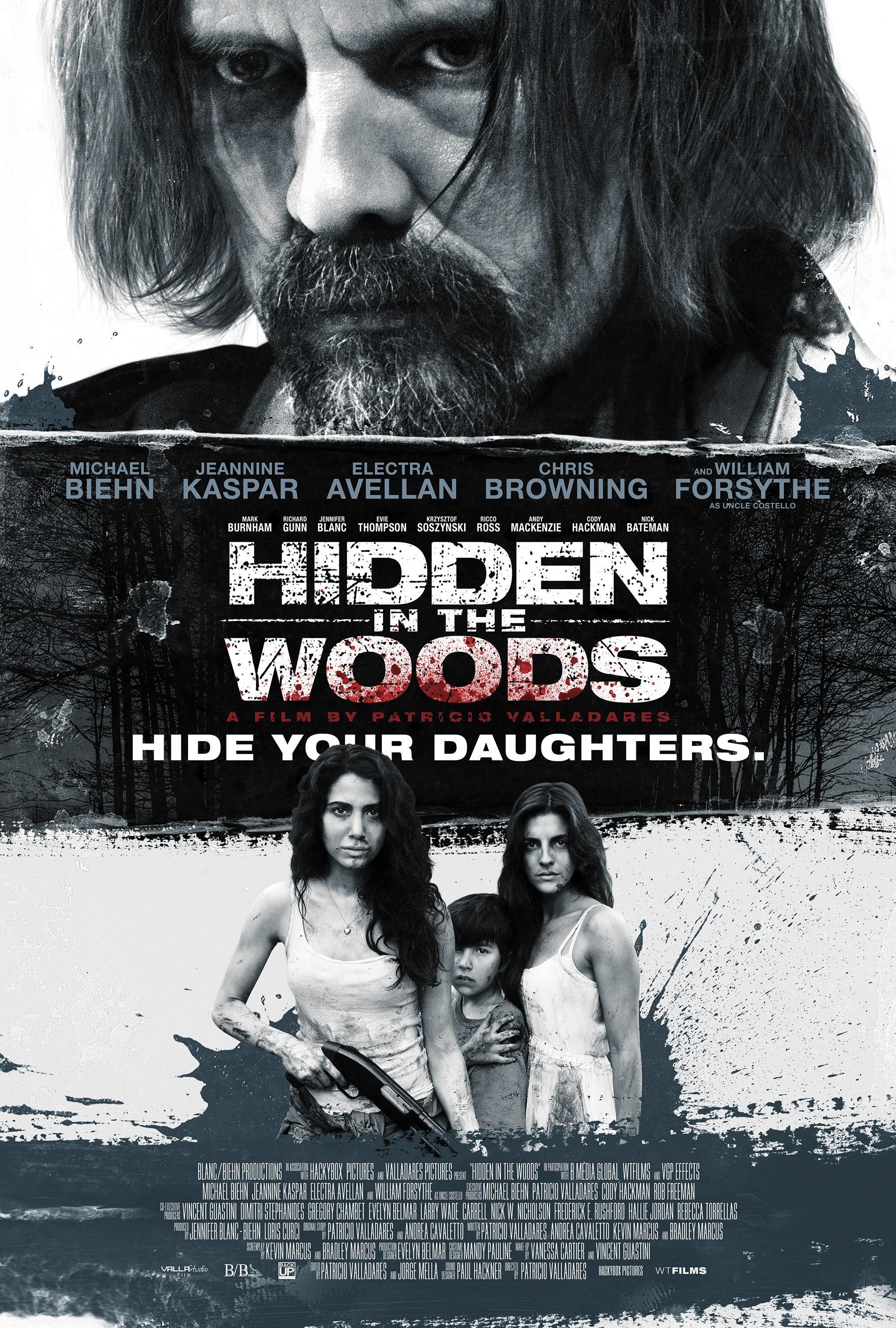 Постер фильма Спрятанный в лесу | Hidden in the Woods
