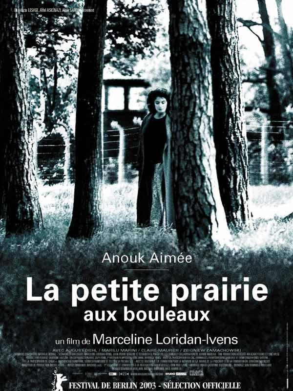 Постер фильма Березовый луг | petite prairie aux bouleaux