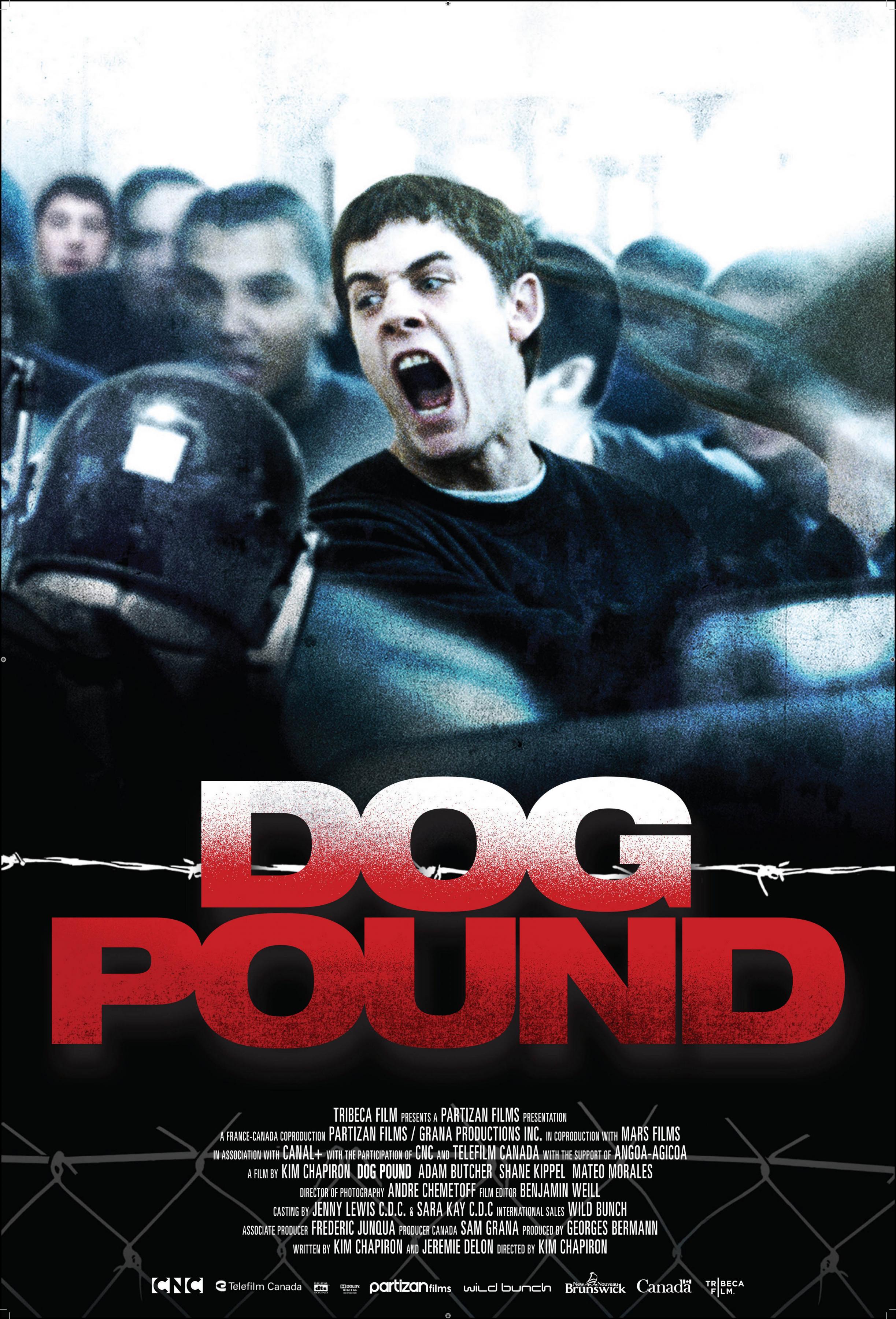 Постер фильма Загон для собак | Dog Pound