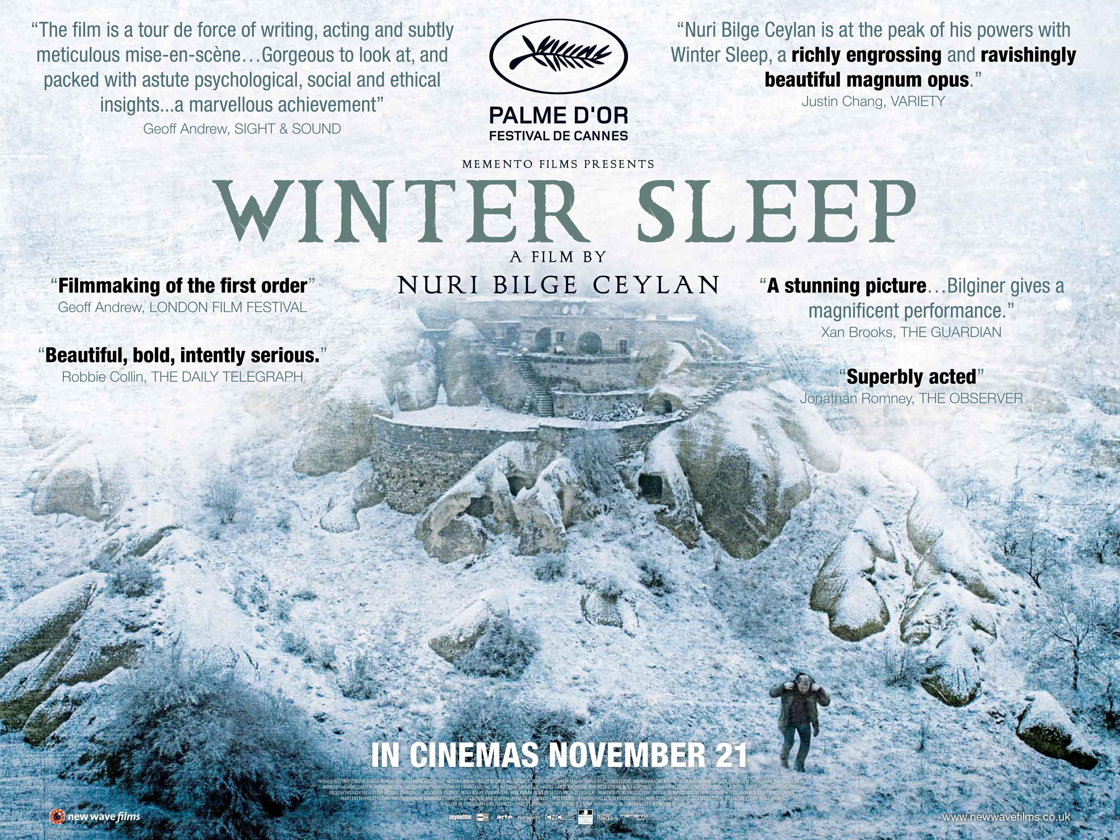 Постер фильма Зимняя спячка | Kis uykusu
