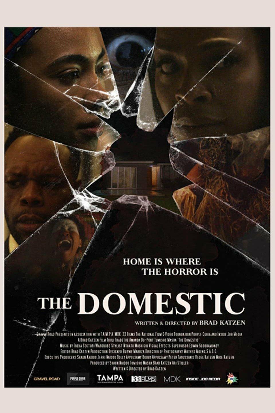 Постер фильма The Domestic