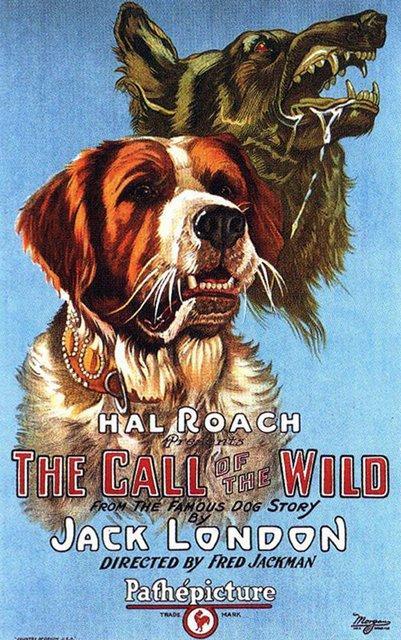 Постер фильма Call of the Wild