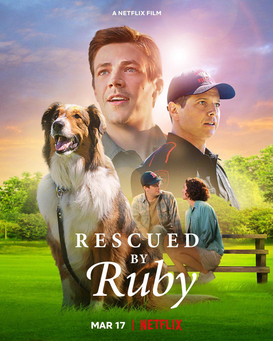 Постер фильма Руби, собака-спасатель | Rescued by Ruby