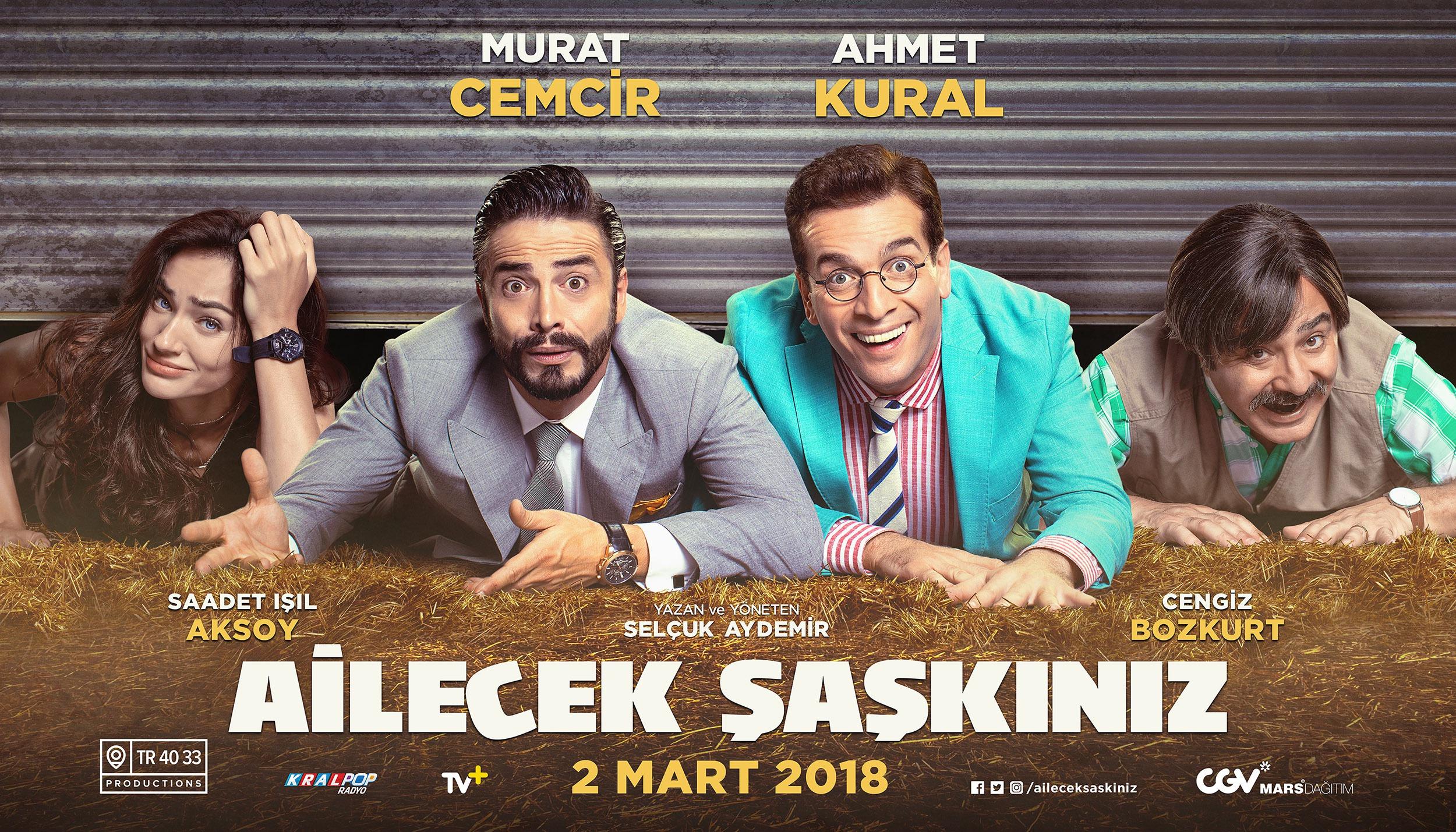 Постер фильма Ailecek Saskiniz 