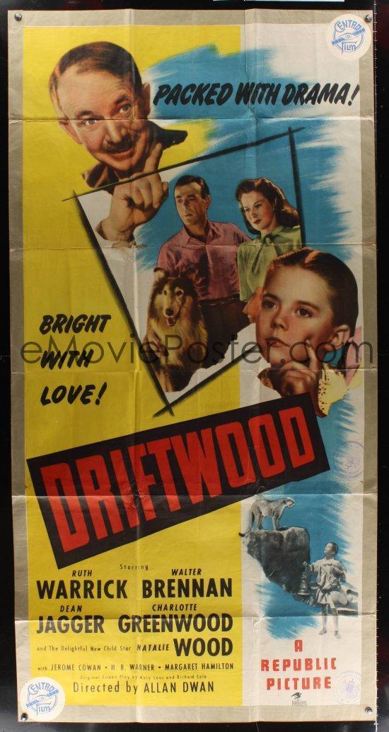 Постер фильма Driftwood