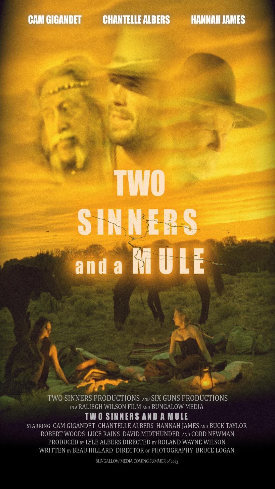 Постер фильма Две грешницы и мул | Two Sinners and a Mule