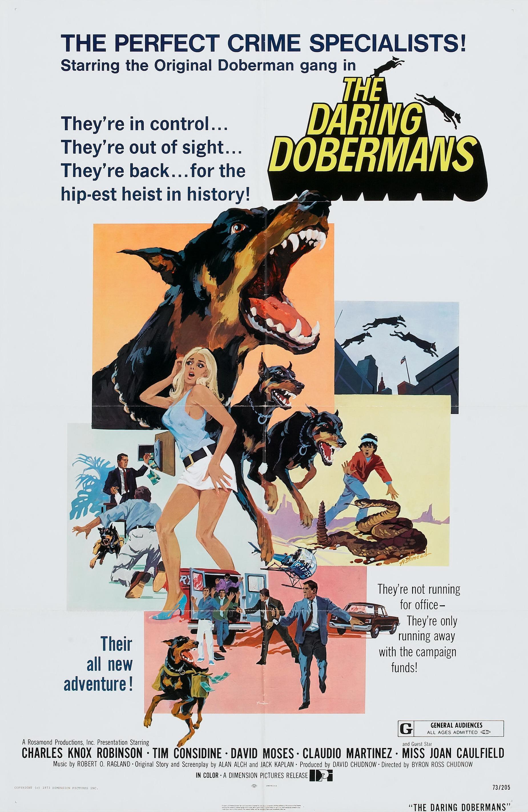 Постер фильма Daring Dobermans