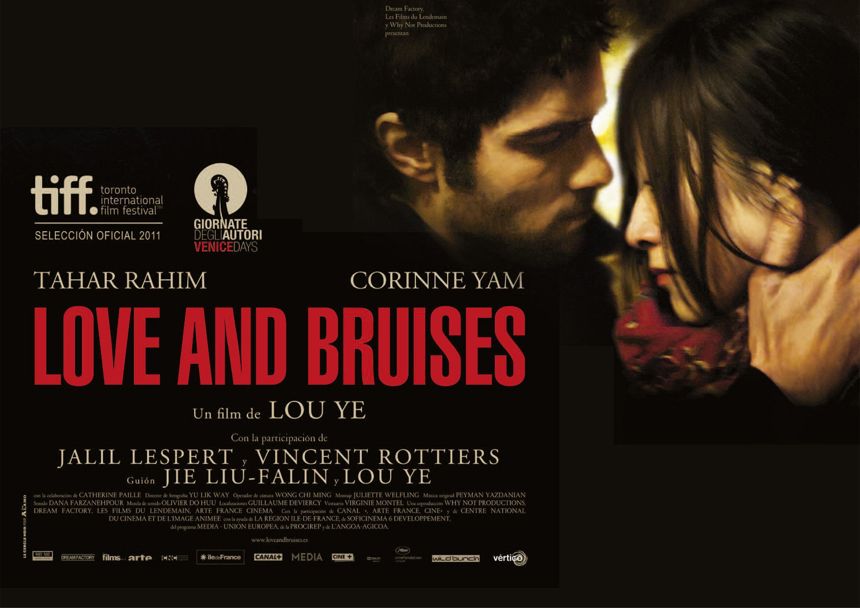 Постер фильма Любовь и ссадины | Love and Bruises