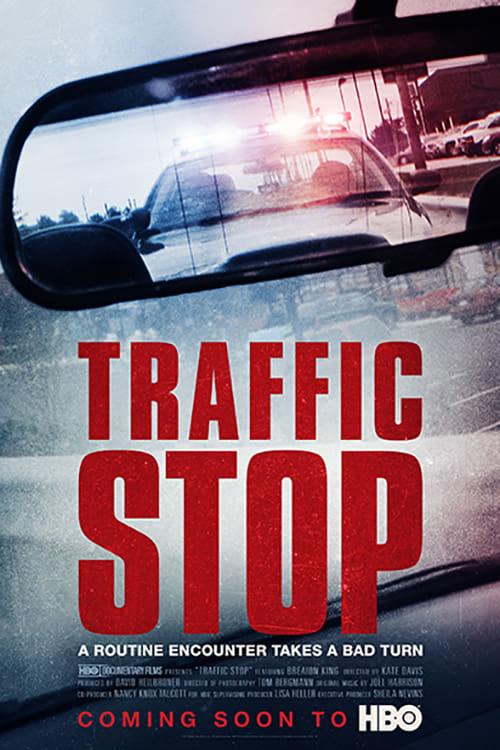 Постер фильма Проверка на дороге | Traffic Stop 
