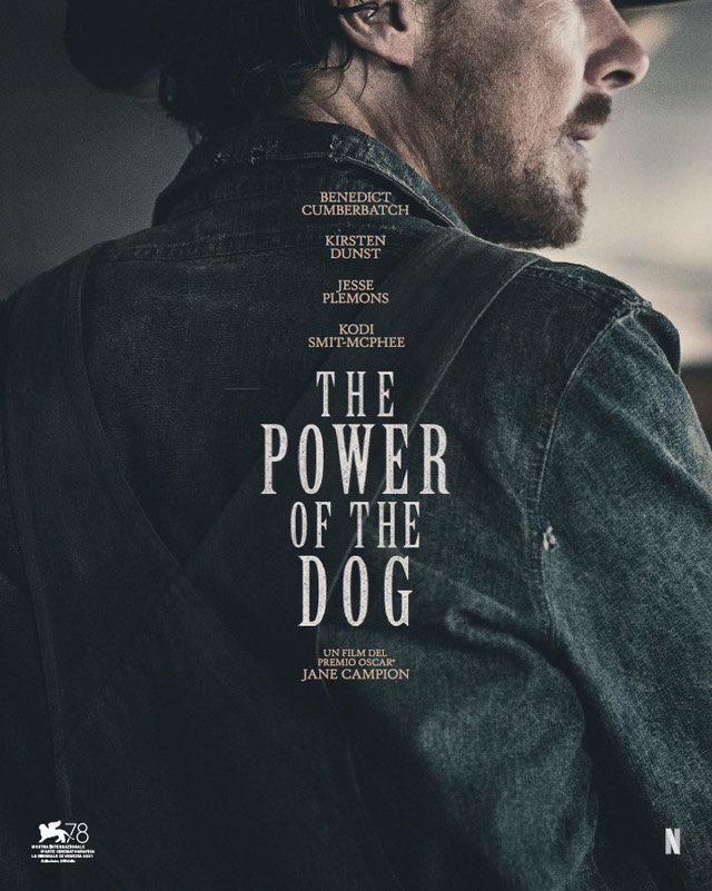 Постер фильма Власть пса | The Power of the Dog
