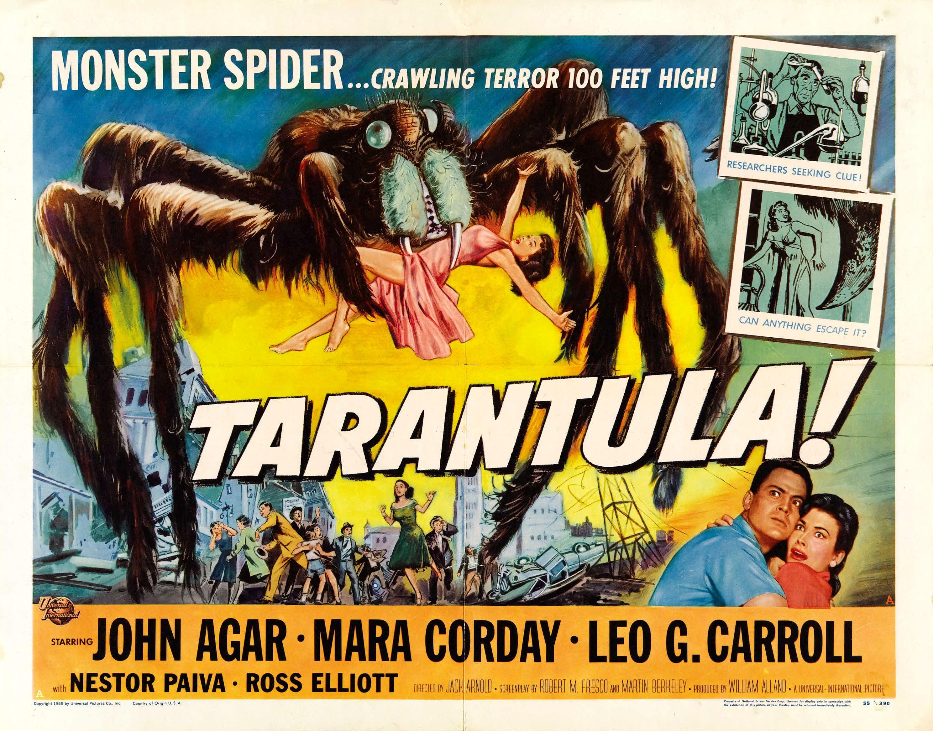Постер фильма Тарантул | Tarantula